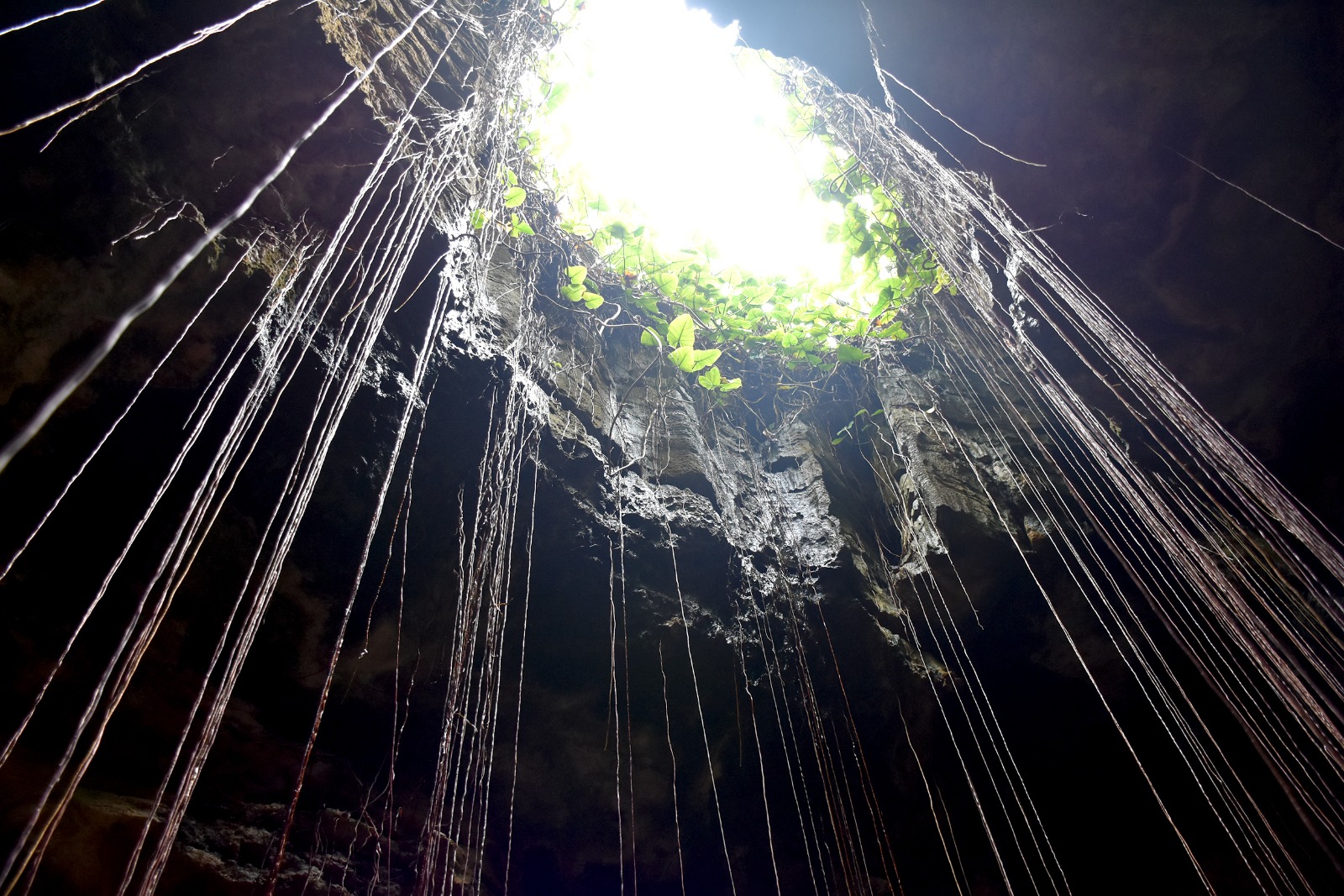 Gruta